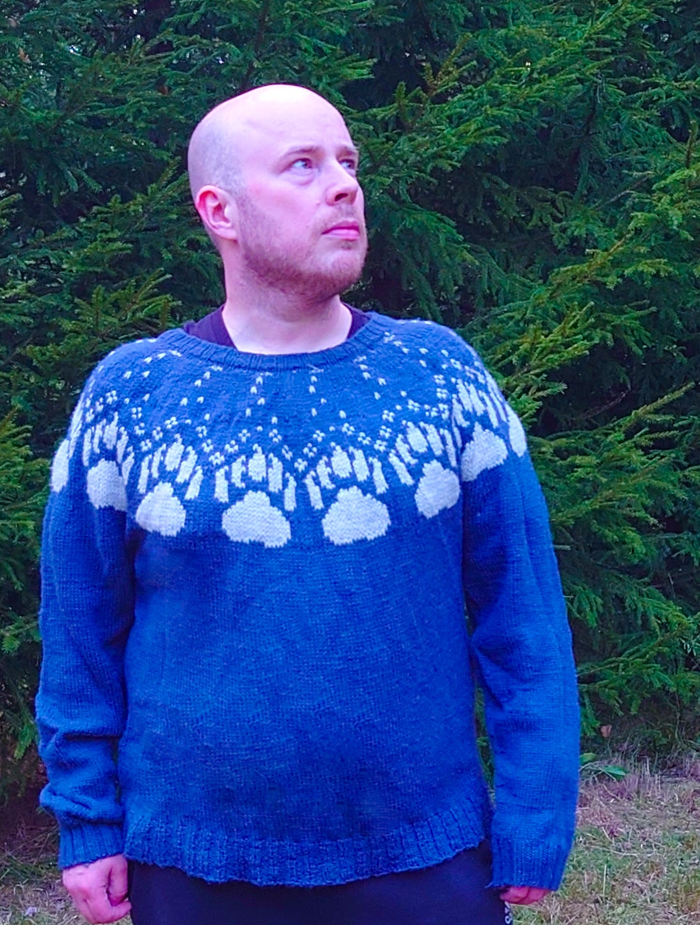 Ursa Minor - Bear Paw Print Yoke Sweater Knitting Pattern