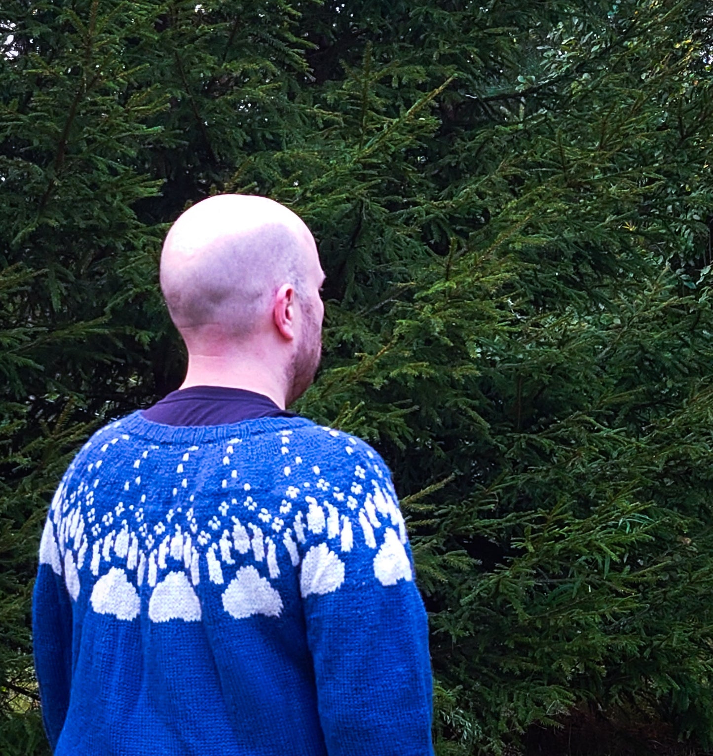 Ursa Minor - Bear Paw Print Yoke Sweater Knitting Pattern